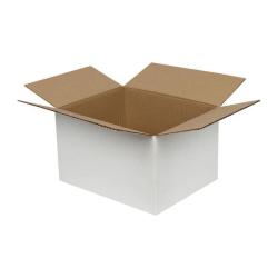 Koli 21x12x14 cm Beyaz Tek Oluklu