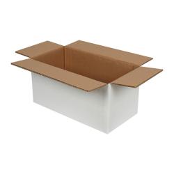 Koli 40x20x20 cm Beyaz Çift Oluklu