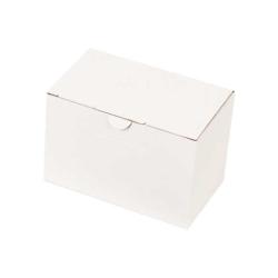 Kutu 12x7x8 cm Amerikan Kilit Beyaz