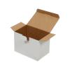 Kutu 15x10x11 cm Amerikan Kilit Beyaz