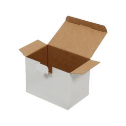 Kutu 15x10x11 cm Amerikan Kilit Beyaz