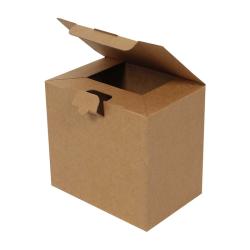 Kutu 22x15x20 cm Amerikan Kilit Kraft