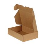 Kargo Kutusu 24x16,5x6 cm Testliner