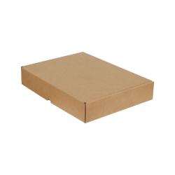 Kargo Kutusu 39,5x31x,6,5 cm Kraft