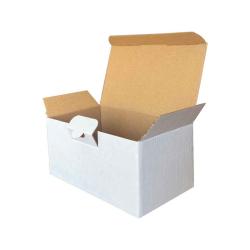 Kutu 17,5x10x8,5 cm Amerikan Kilit Beyaz