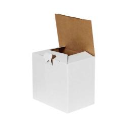 22x15x20 cm Hazır Beyaz Kutu