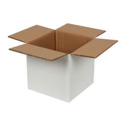 20x20x20 cm Çift Oluklu Beyaz Koli