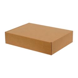 30x20x10 cm Kraft Karton Kutu Kilitli