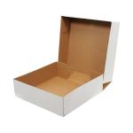 41x32x20 cm E-Ticaret Kargo Kutusu Beyaz 4 Nokta Kutu